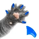 Cat Hygienic Nail Caps
