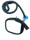 Dog Collar With Leash
