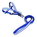 Dog Harness For Small Dog