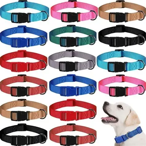 Dog Collar Yabe Police 55*2.7 Cm