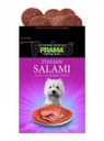 Prama Dog Treat Salmon 70g