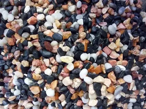 رمل حوض السمك