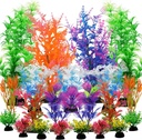 Fish Aquarium Clorful Plant