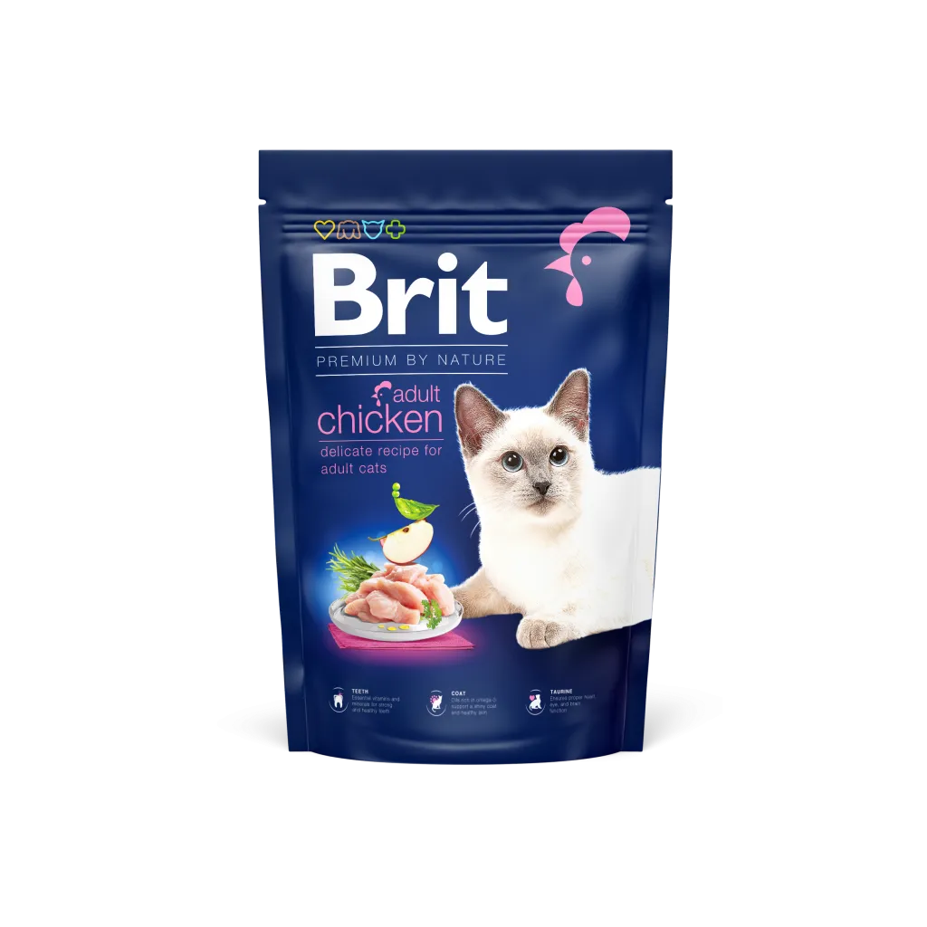 Brit dry food adult chicken 300g