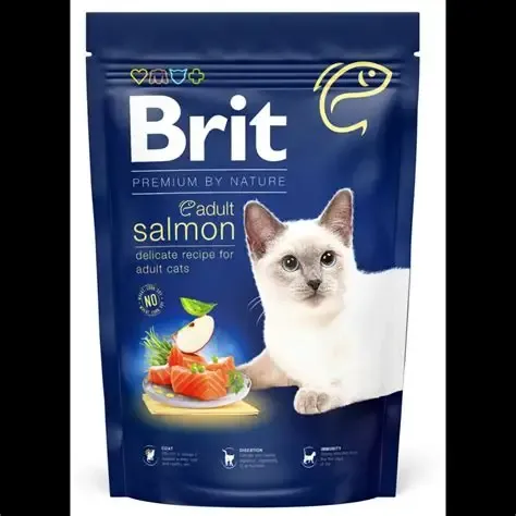 Brit dry food adult salmon 300g