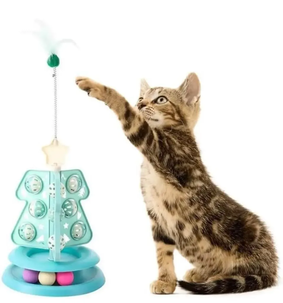 interesting cat toy
