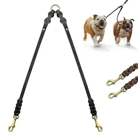 Double leash for dogs