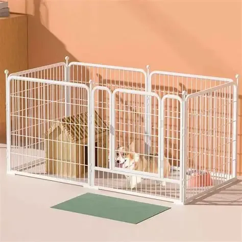 Fence For Dogs M