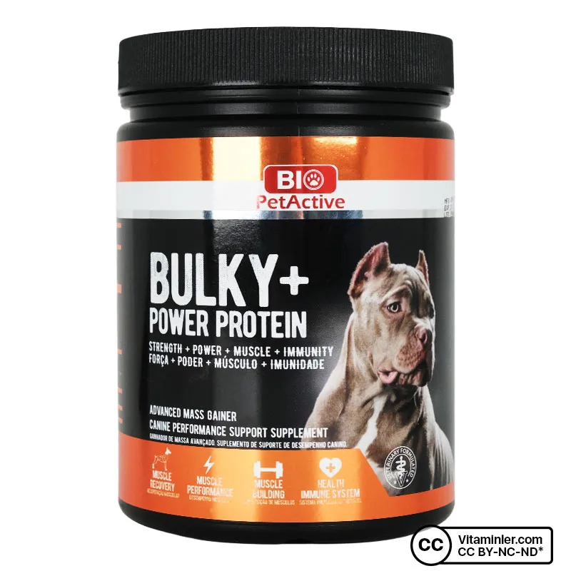 Bio Bulky + Power Protein 368g