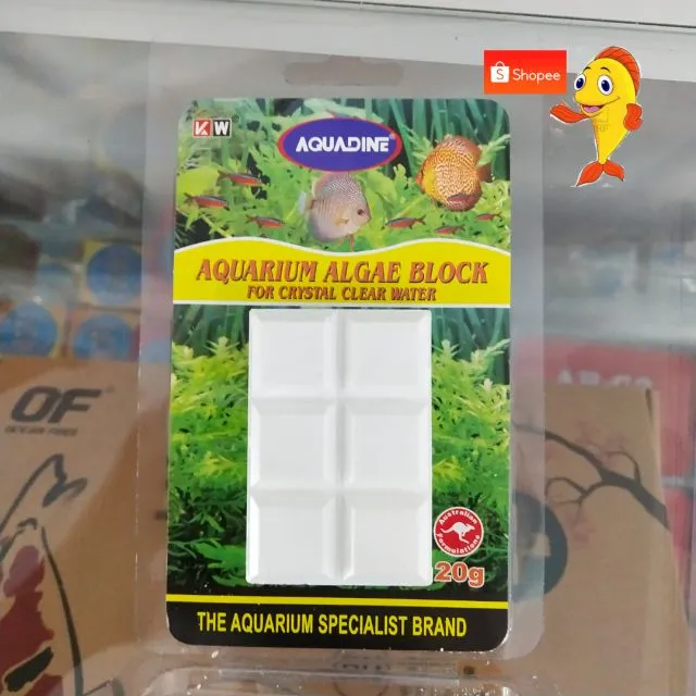 Aauadine Aquarium Algae Block 20g