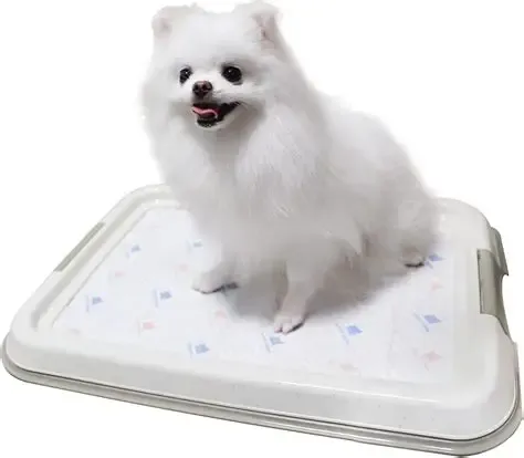 dog pads holder 60*90
