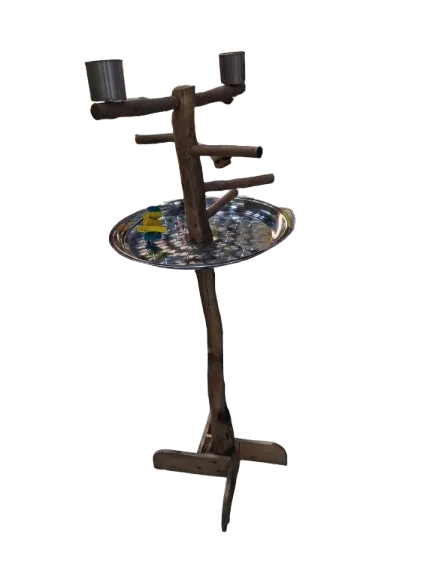 Parrot stand