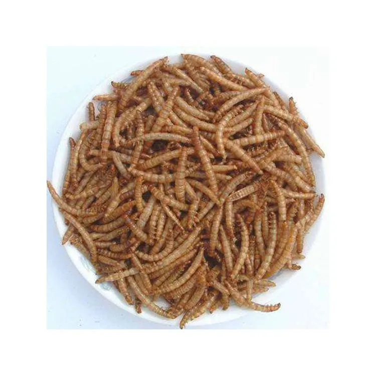 TaiPet Bird Food Dried Worms 100g