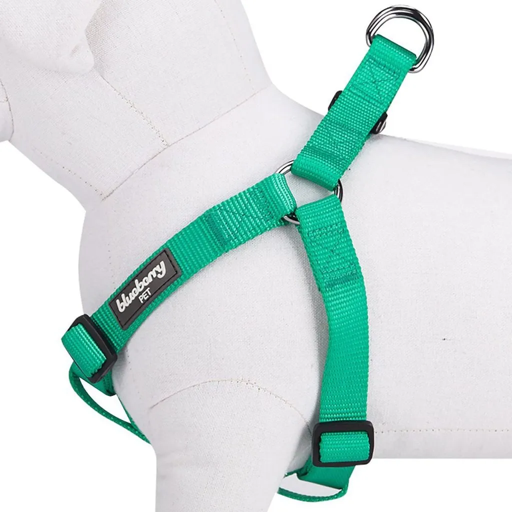 Harnes For Dogs L