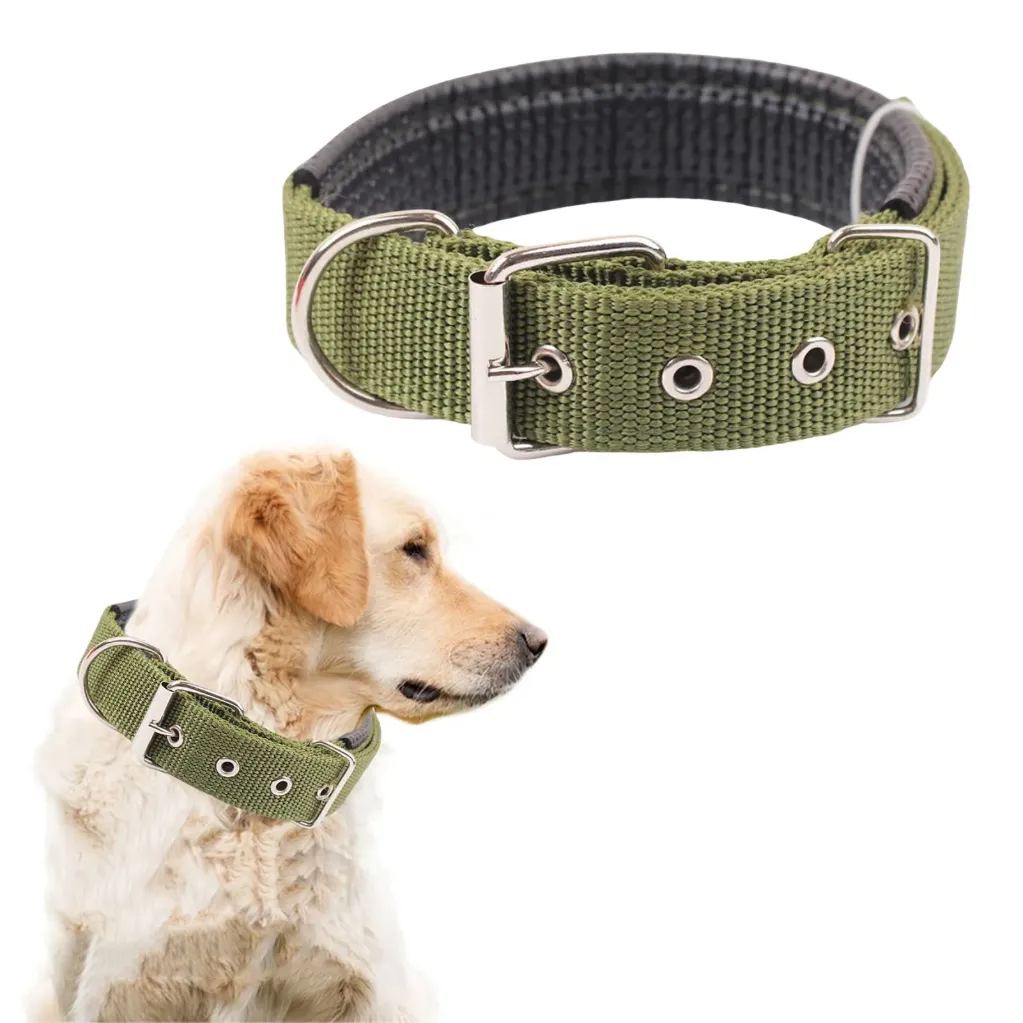 Collar For Dogs M