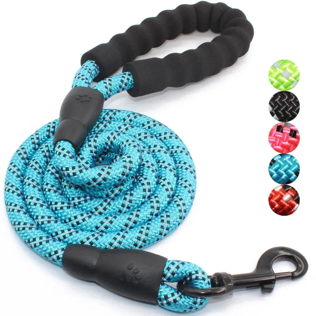 Leash For Dogs