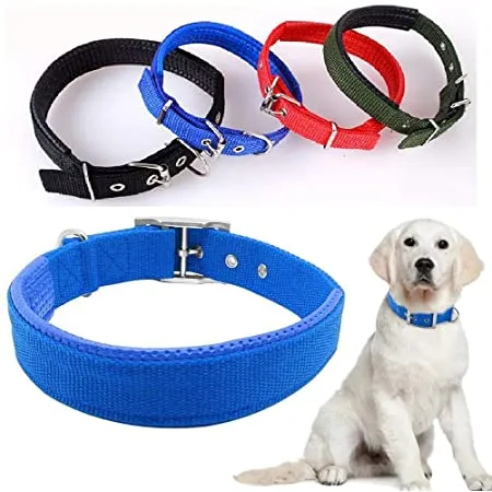 Collar For Dogs M