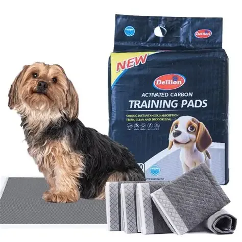 Dellion Activated Carbon Training Pads 45cm*60cm 50pcs