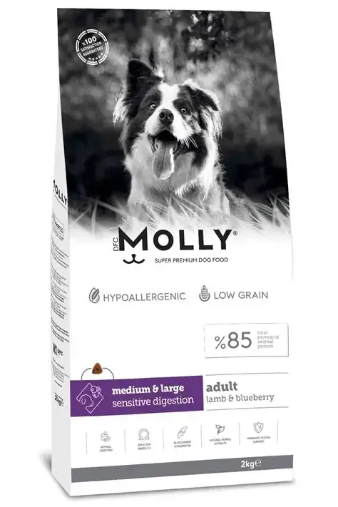 Molly Dog Food Medium & Large Adult Lamb & Blueberry 2Kg