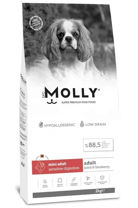 Molly Dog Food Mini Adult Lamb & Blueberry 2Kg