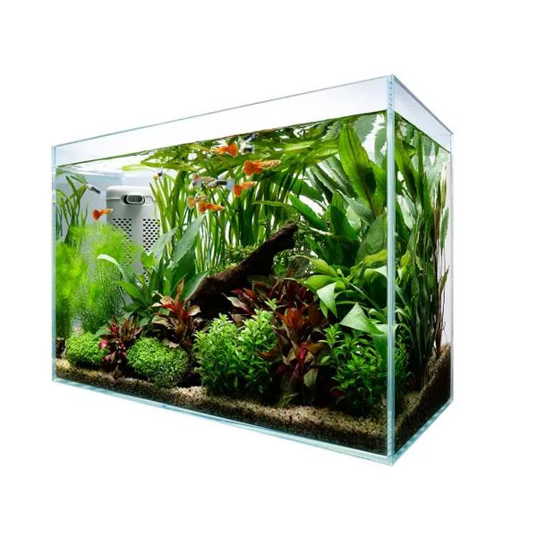 Fish Tank L