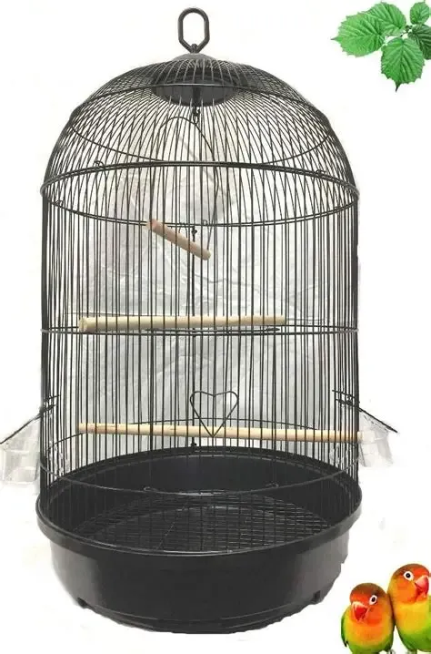 Round Bird Cage with Swing