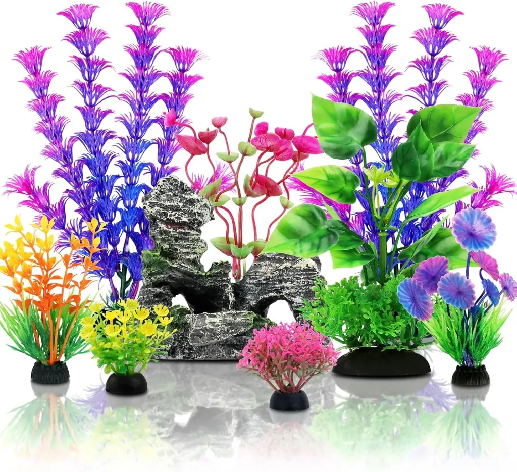Aquarium Accessories