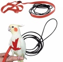 Bird Harness Rope