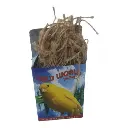 أوتار عش الكناري