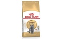 Royal Canin Cat Dry Food British Shorthair Adult 4kg