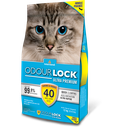 Intersand Cat Litter Unscented 10kg