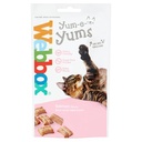 Webbox Cat Treat Yum-E-Yums Salmon 40g